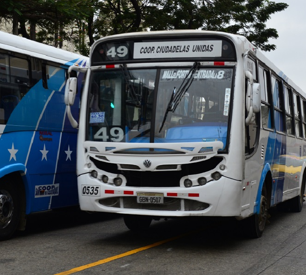 buses-Gye