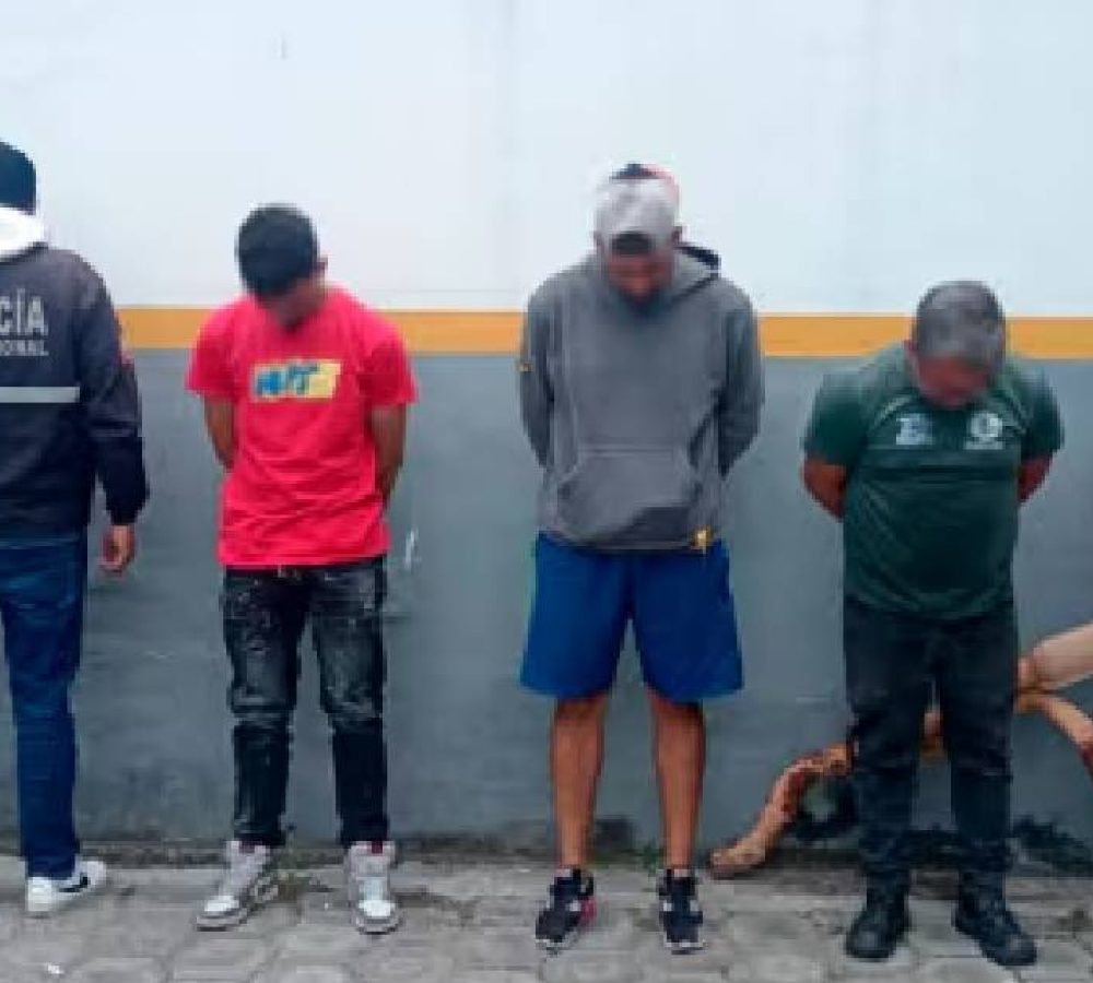 ladrones-de-autos-de-alta-gama