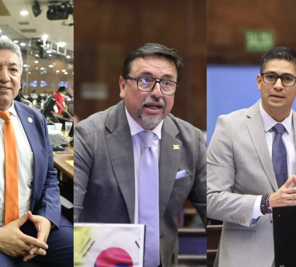 politica_cal-archiva-quejas-recalde-ordonez-estrada-asamblea-nacional_22-04-2026-1536x1024-1