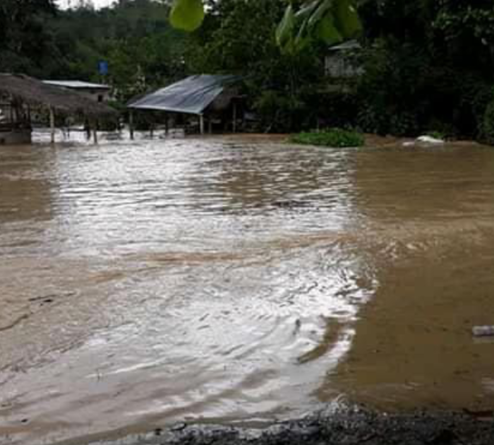 rio-Quiniinde