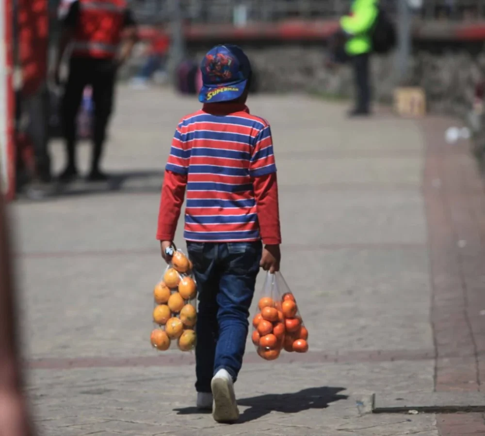 sociedad_trabajo-infantil-ecuador-deuda-pendiente_11-6-2026-1536x1024-1