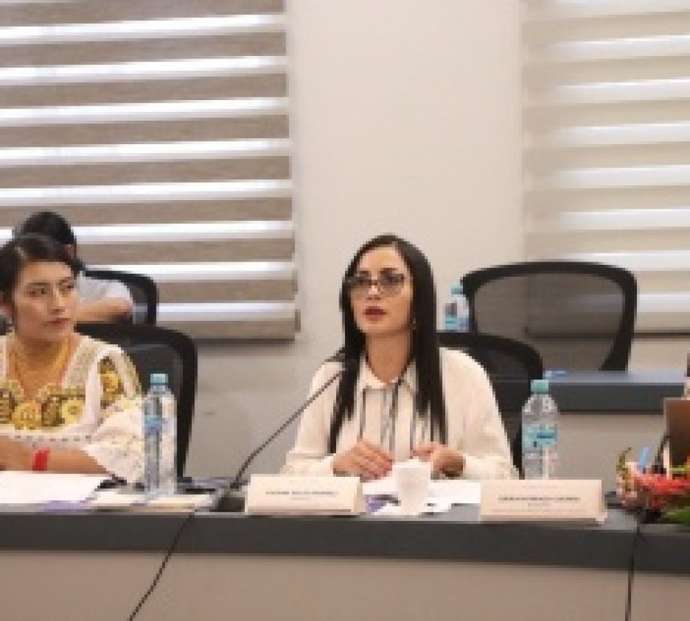 whatsapp_image_2026-02-25_at_6.55.39_pm