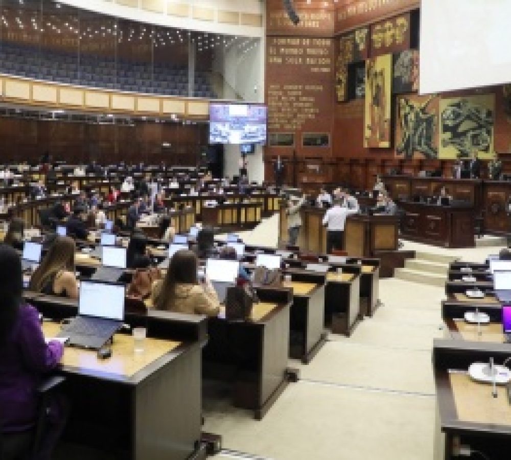 whatsapp_image_2026-03-03_at_12.19.07_pm