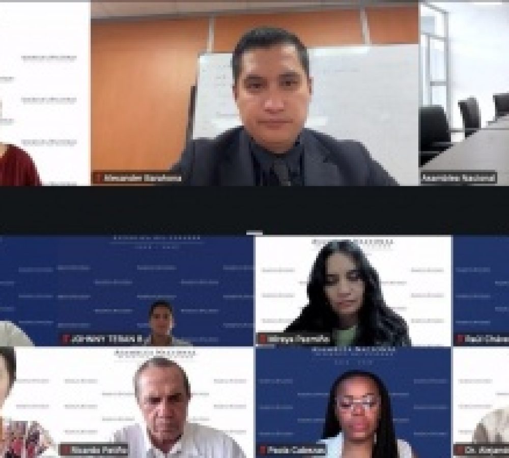 whatsapp_image_2026-03-11_at_16.54.11